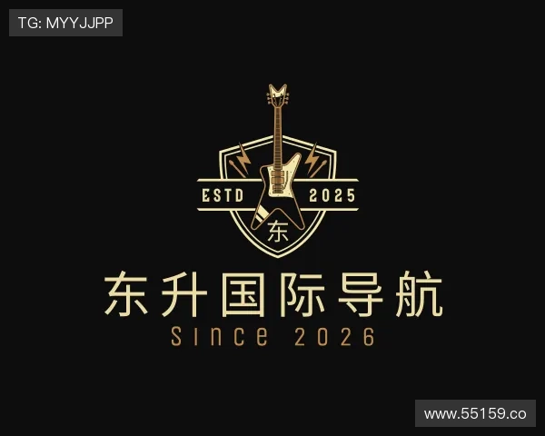 指南东升国际导航